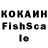 Cocaine Fish Scale Gurami Adamia