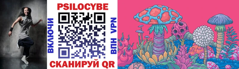 купить наркотик  Россошь  Галлюциногенные грибы Cubensis 